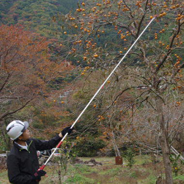 業界最軽量！3m伸縮式高枝鋏
