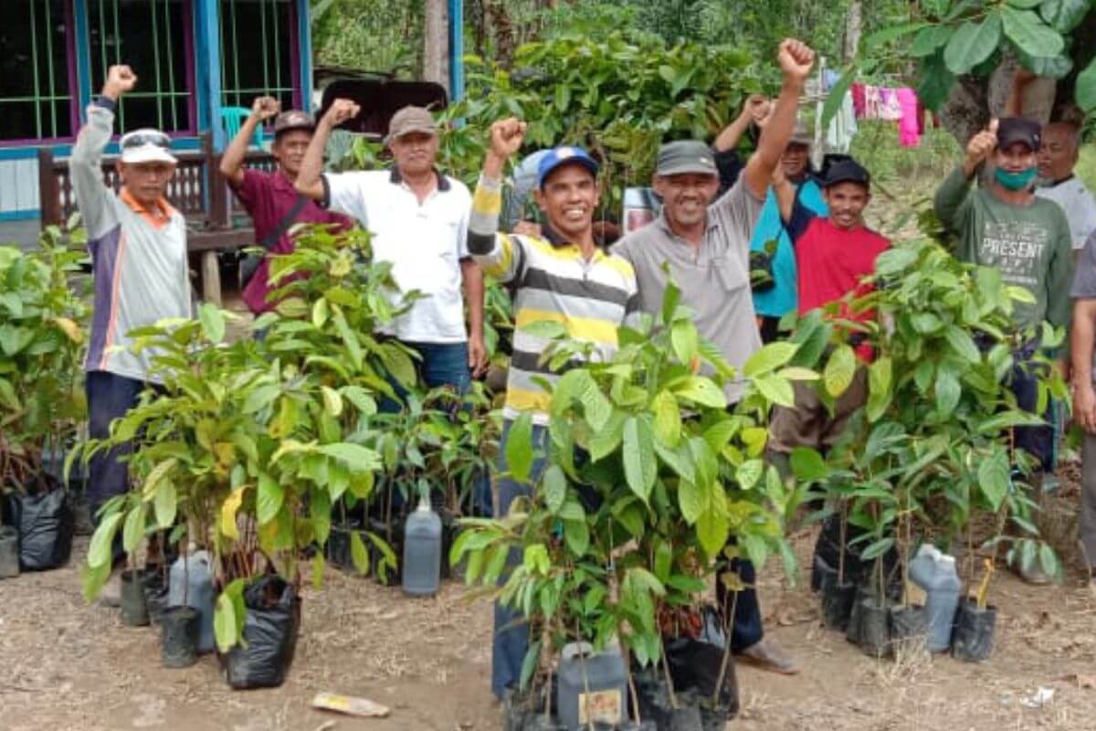 合法木材輸入・原産国林業へのSDGs支援
