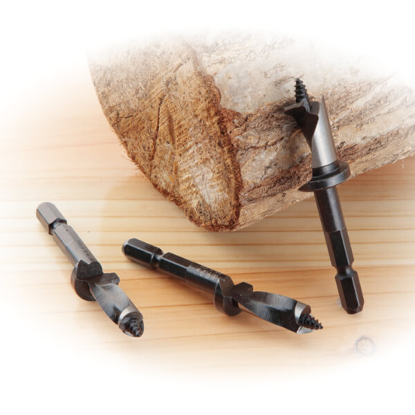 しいたけドリル