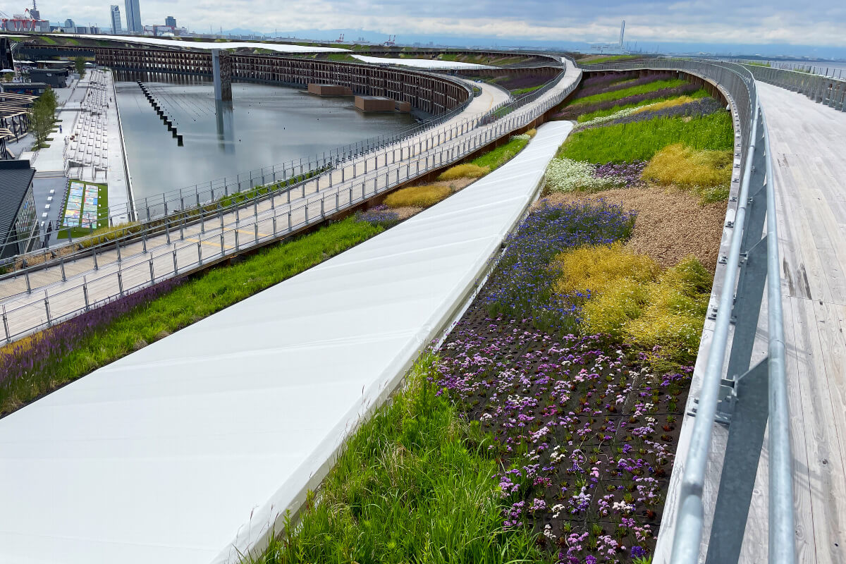 緑を増やし人と自然がふれあえる空間を創造