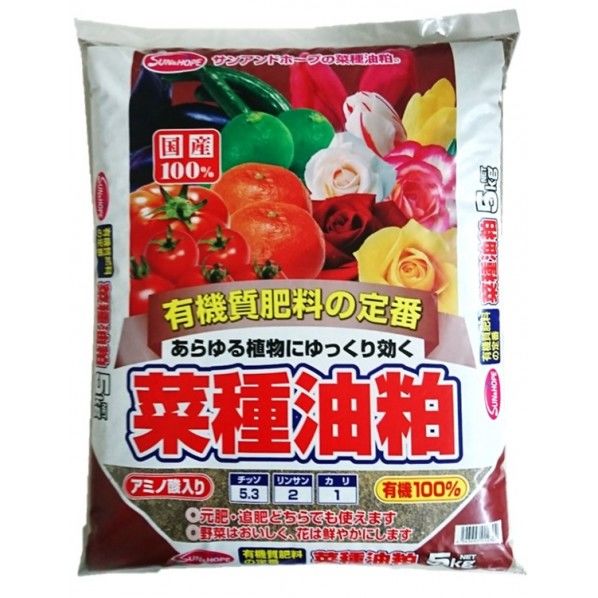 菜種油粕 1個