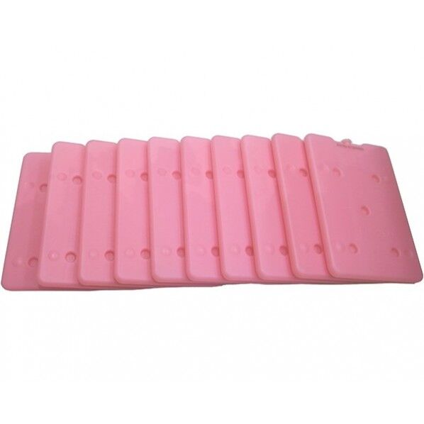 IB-MINI-ICEPACK 10個