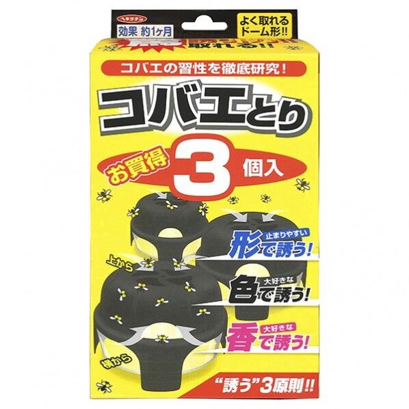 375509 3個