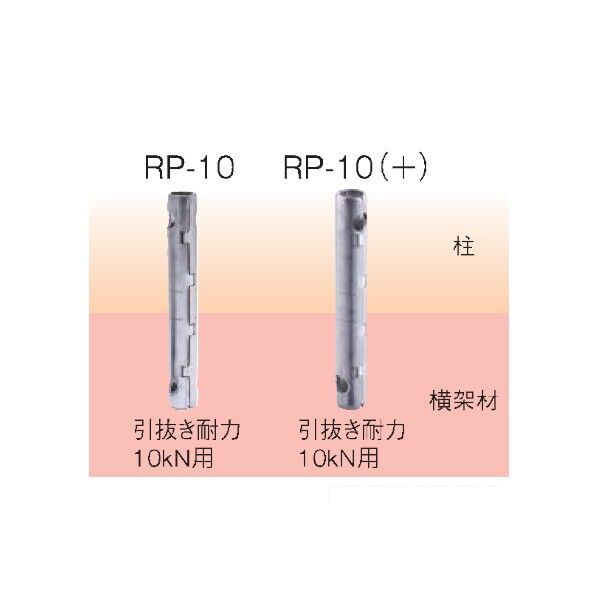 RP-10 60本