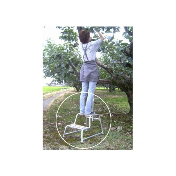 2段式もち手踏み台 小 MA-N1 1台