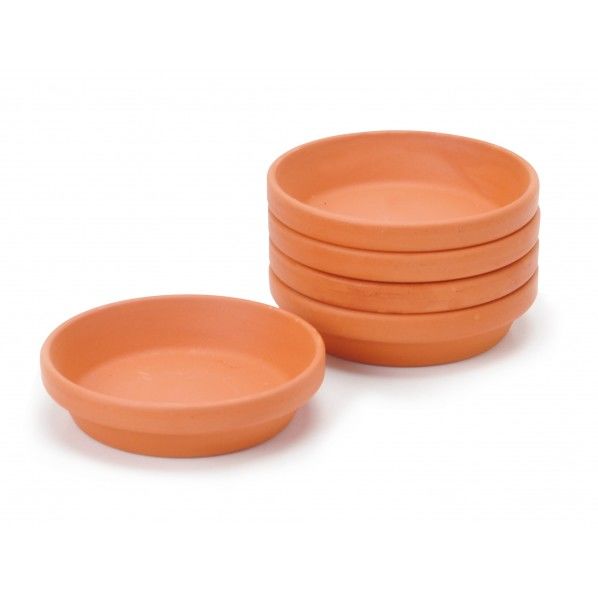 栽培キット テラコッタ製受け皿 栽培 植物 eggling eco friendly 1個