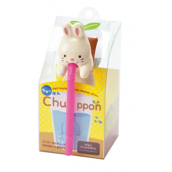 ちゅっぽん ワイルドストロベリー 1点