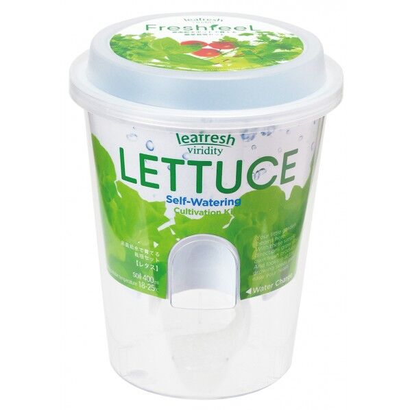 観葉植物 ガーデニング フレッシュフィール レタス 1点