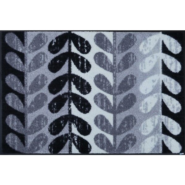 50×75cm AB00421 1P