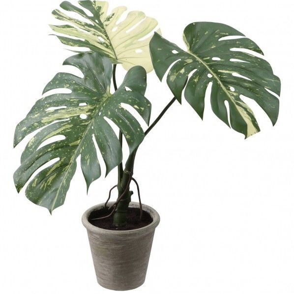 モンステラバリエガータポット フェイクグリーン 人工観葉植物 GLA-1533GR 1本