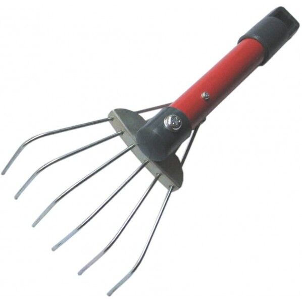 根かきくまで 55546 1つ