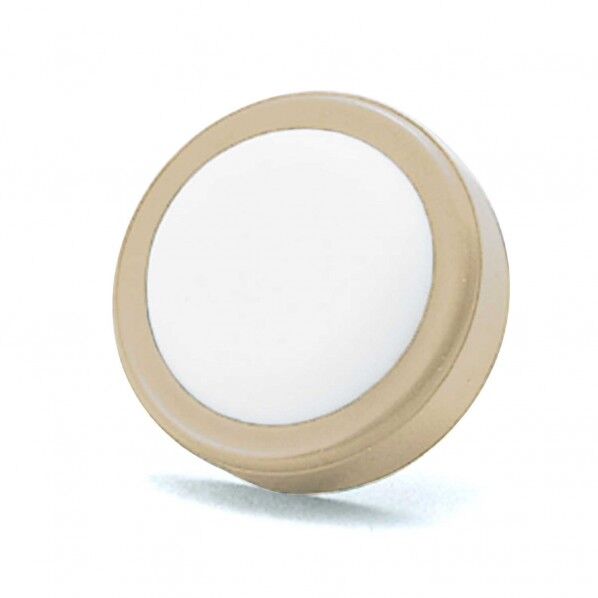 打ち込み式スベイリー