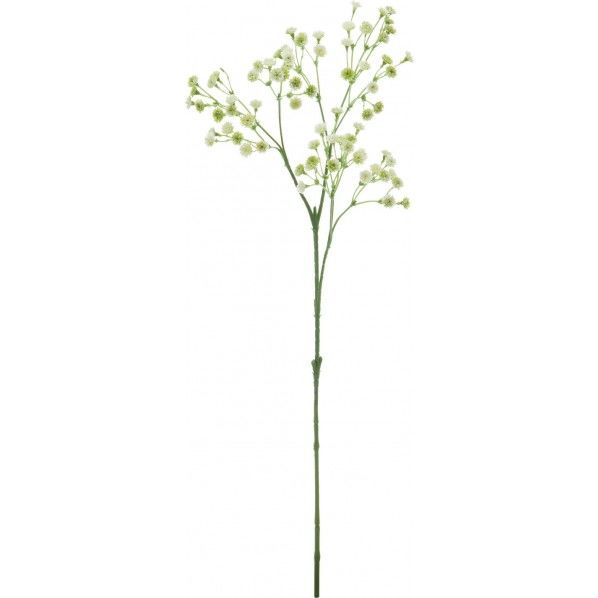 カスミスプレー