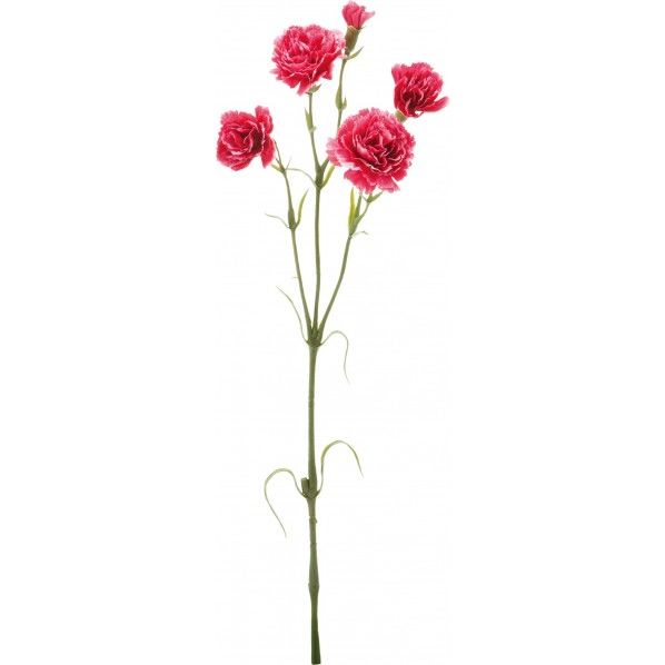 カーネーションスプレー