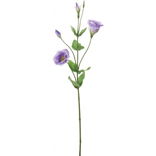 リシアンサス LAV 全長67cm・実径2.5~3.5cm FA -7267 1本