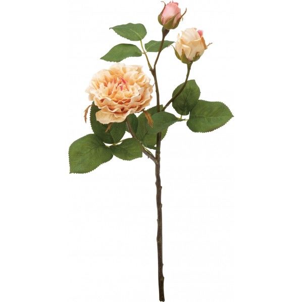 フェアリーローズスプレー FA -7276BE 1本