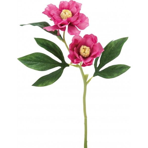 ピオニー FA -7278BTY 1本