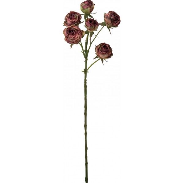 ドライローズスプレー