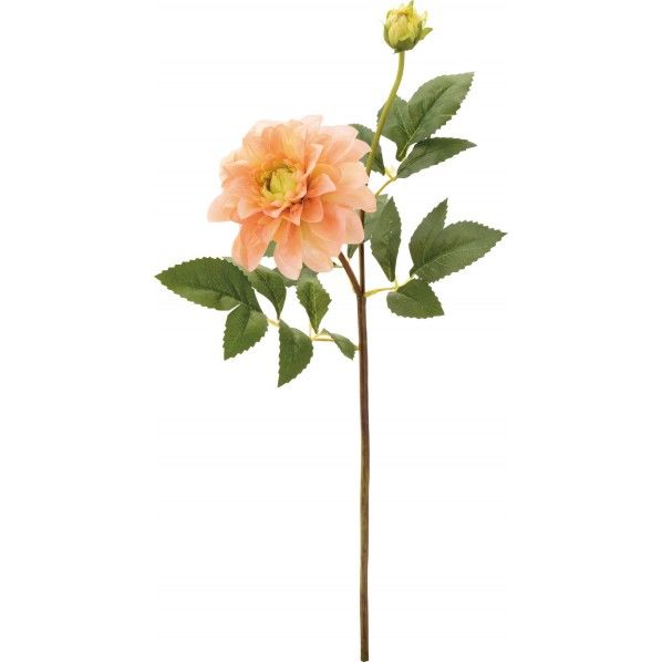 ダリアスプレー FA -7282L/P 1本