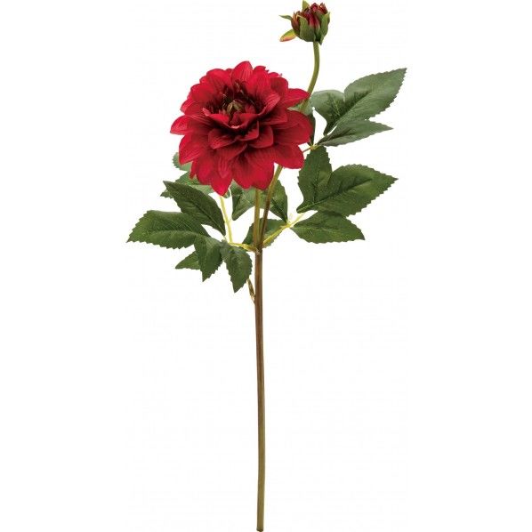 ダリアスプレー FA -7282R 1本