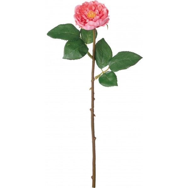 ジョルダンローズ FA -7294COL 1本