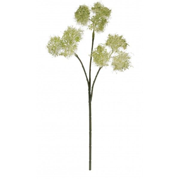 スモークツリーピック