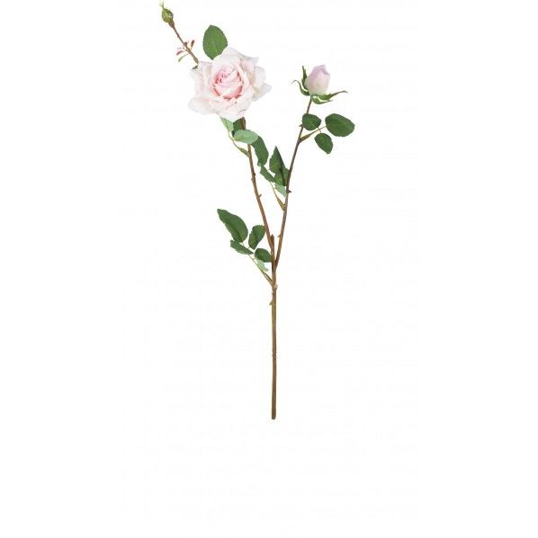 オフェリアローズスプレー FA -7310L/P 1本