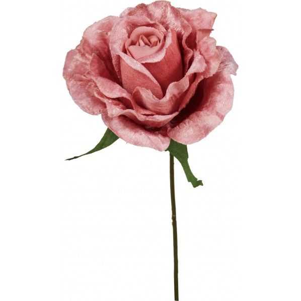 ベルベットローズピック