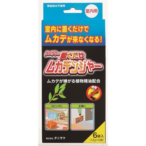 6個