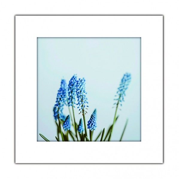 アートトワレ 青い花 1個