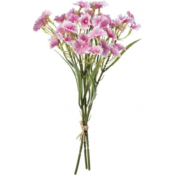 ダイアンサスバンドル BTY 全長52cm・花径4.5cm FB -2502 1束