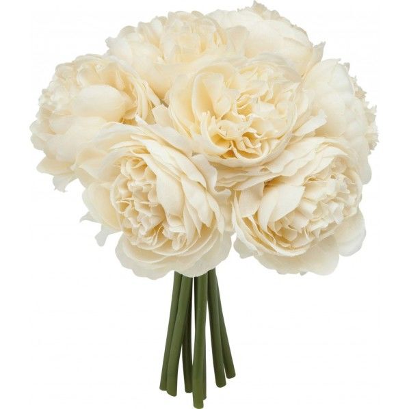 パフィーラナンキュラスブーケ IVO 全長23.5cm・葉長6cm・実径1.1~1.8cm・パイン径4cm FB -2514 1束