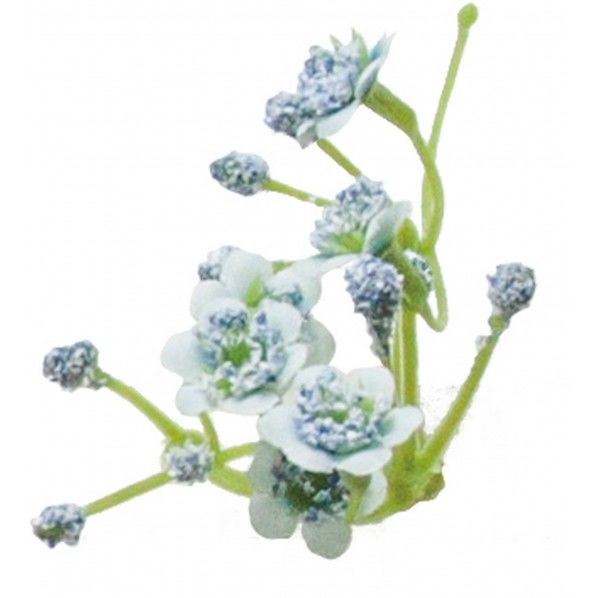 カスミソウパック BLU 全長27cm FBC-8184 1袋