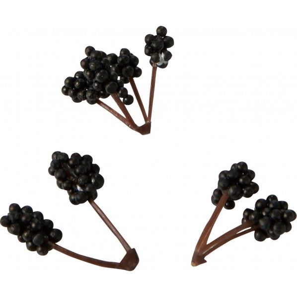 マクロベリーパック BR 全長60cm･花径9cm FBC-8185 1袋