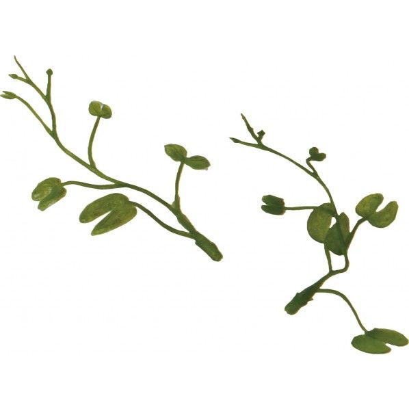 ハートカズラパック DGR 全長43cm FBC-8186 1袋