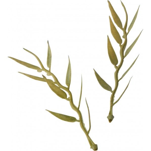 スマイラックスパック