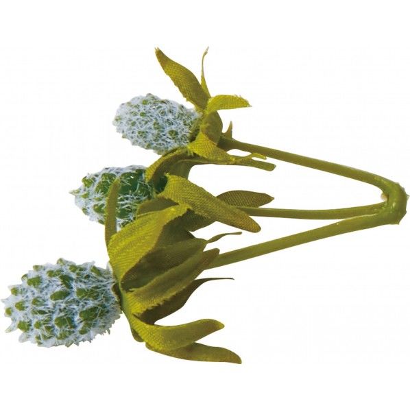 ナチュラルベリーパック