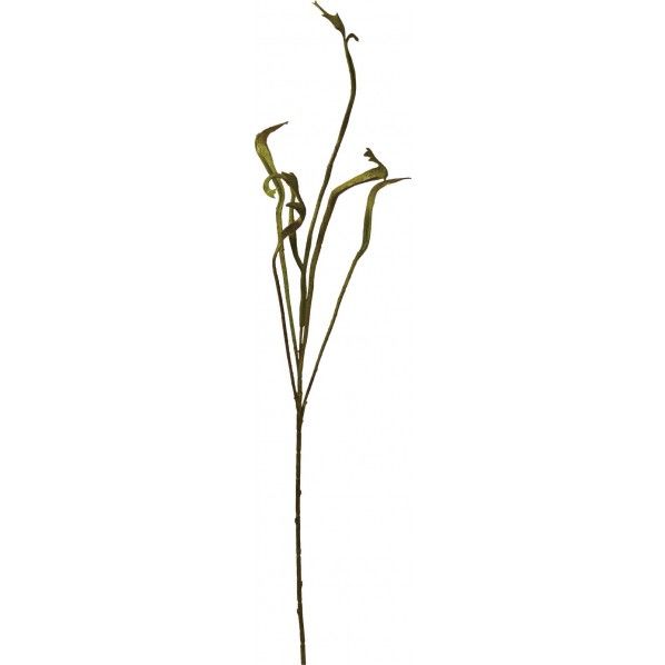 セッカヤナギ GR L15cm W3.5cm×D0.2cm×H3cm FG -4944 1本