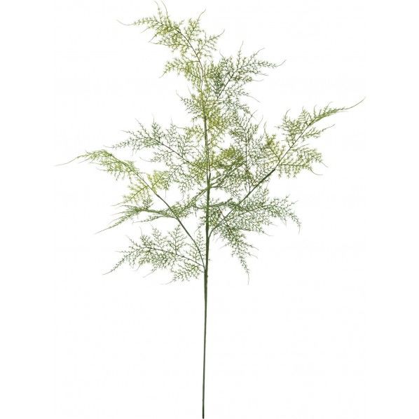 アスパラペラスプレー GR L18cm φ3cm×D0.4cm FG -4952 1本