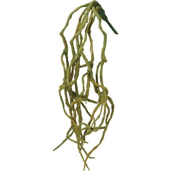 ファレノルートブッシュ GR 全長8cm･実径1cm FG -4953 1本