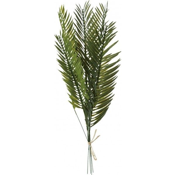 シダーバンドル