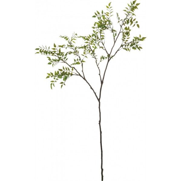 スマイラックスブランチ