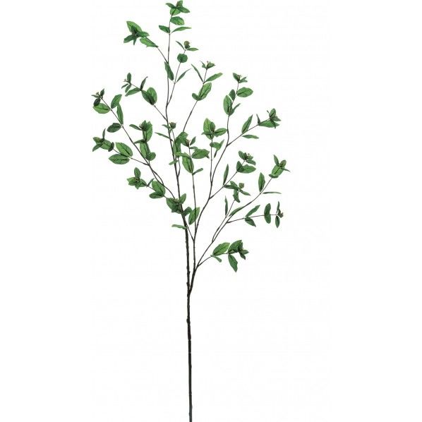 ドッグウッドブランチ GR L32cm･W2.5cm×H10cm FG -4970 1本