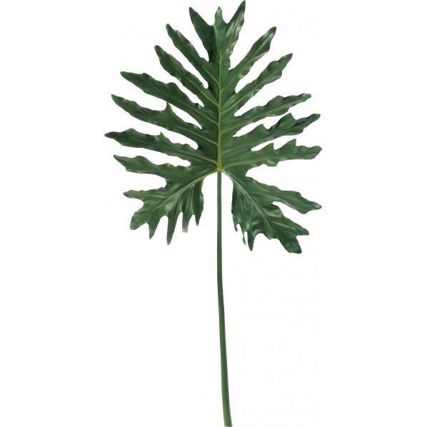 フィロデンドロン GR φ15cm FG -4973 1本