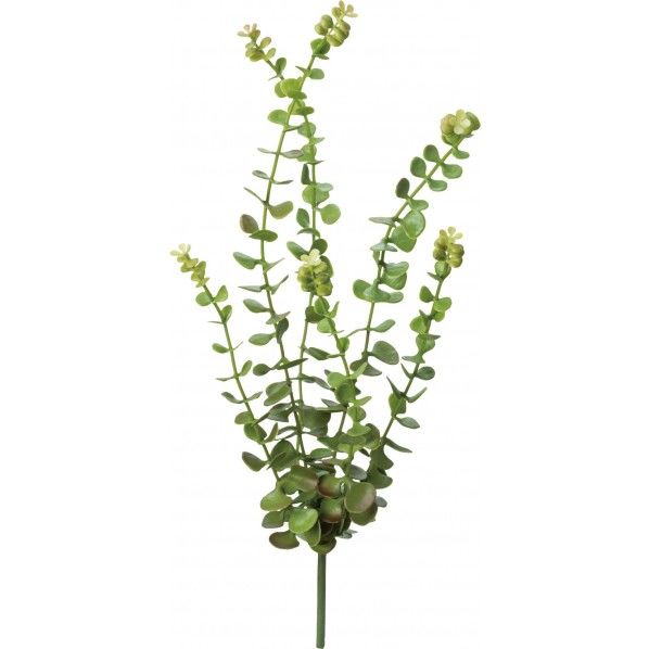 ユ-カリバイン GR φ20cm FG -4979 1本