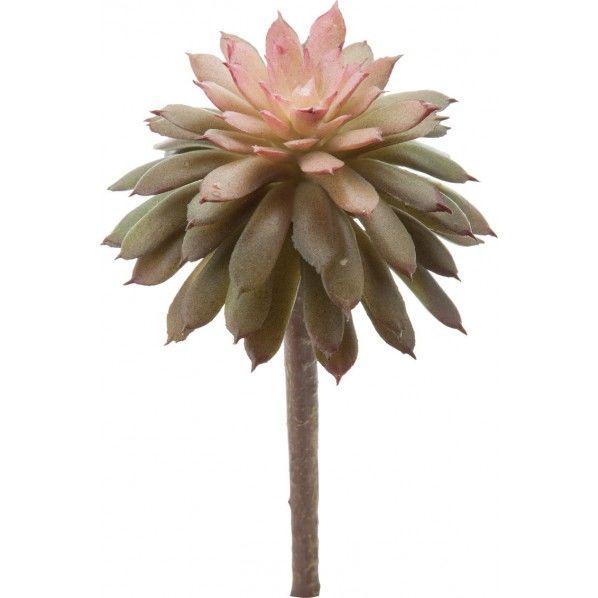 バルーンセダムピック BUR L90cm 100筋 FG -4996 1本