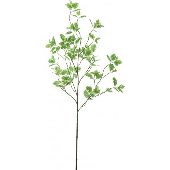 スピンドルツリースプレー W/G L90cm 100筋 FG -4997 1本