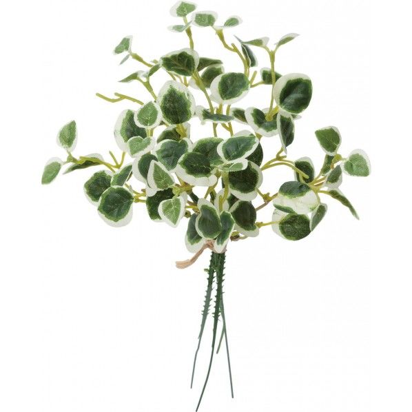 ミニプミラバンドル G/W W11cm×H15cm FG -5011 1束