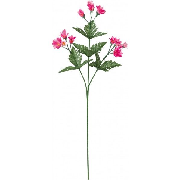 コギクスプレー BTY 全長58cm・花径1.2~3.2mm FF -2777E 1本