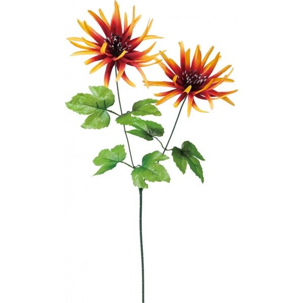 シャーリーマム OR 全長60cm・花径14cm FF -2837A 1本